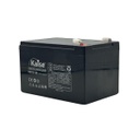 BATERIAS 12V12AH